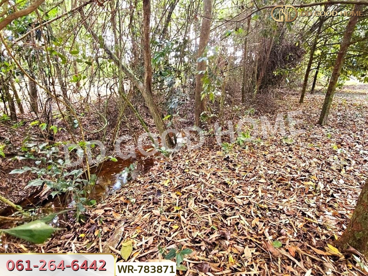 ที่ดินสวนผลไม้ 6 ไร่ 39 ตร.ว. ต.มะขาม จันทบุรี ใกล้สวนทุเรียนแลนด์