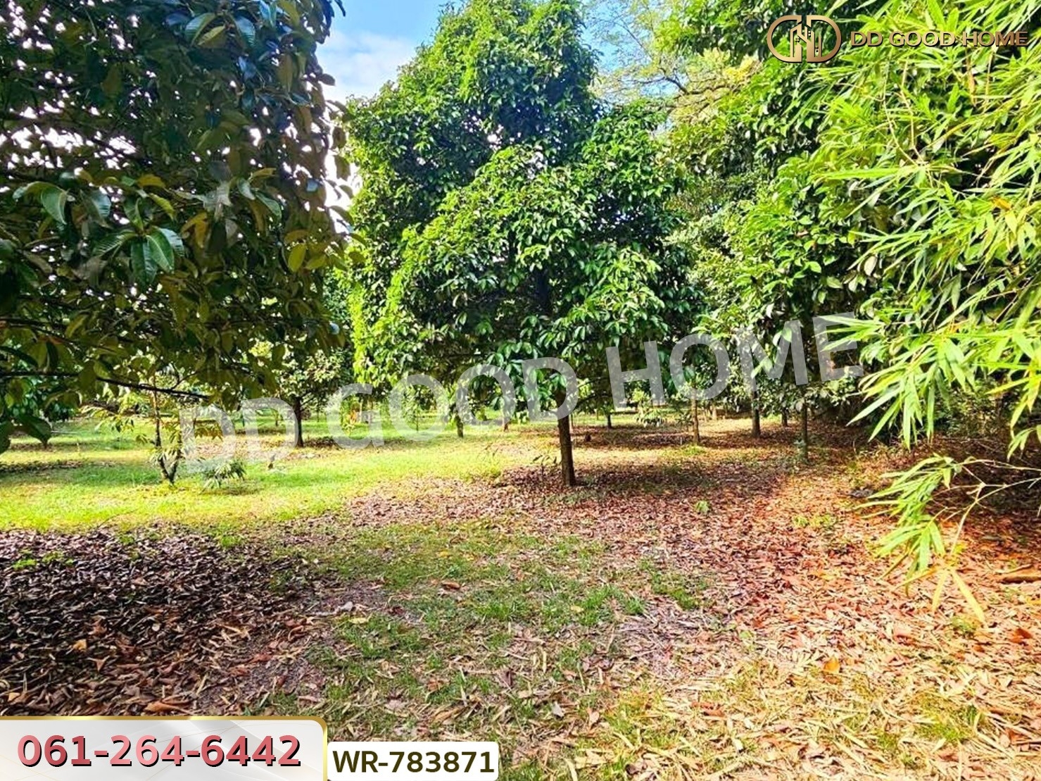 ที่ดินสวนผลไม้ 6 ไร่ 39 ตร.ว. ต.มะขาม จันทบุรี ใกล้สวนทุเรียนแลนด์