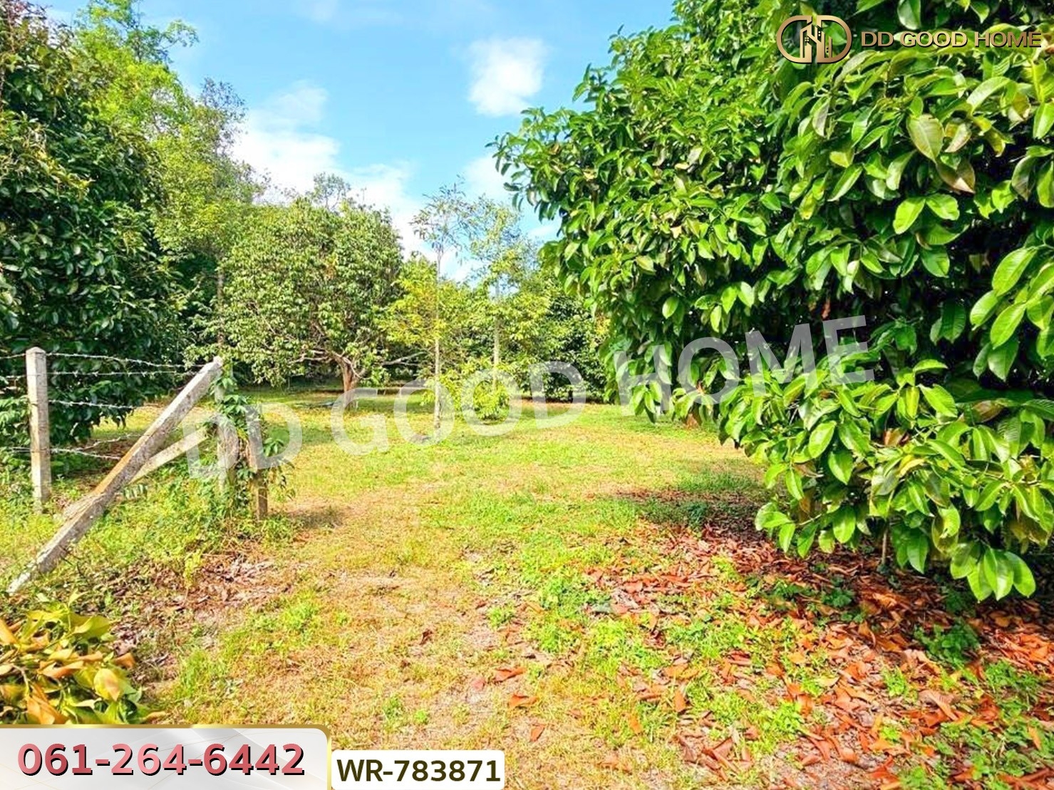 ที่ดินสวนผลไม้ 6 ไร่ 39 ตร.ว. ต.มะขาม จันทบุรี ใกล้สวนทุเรียนแลนด์