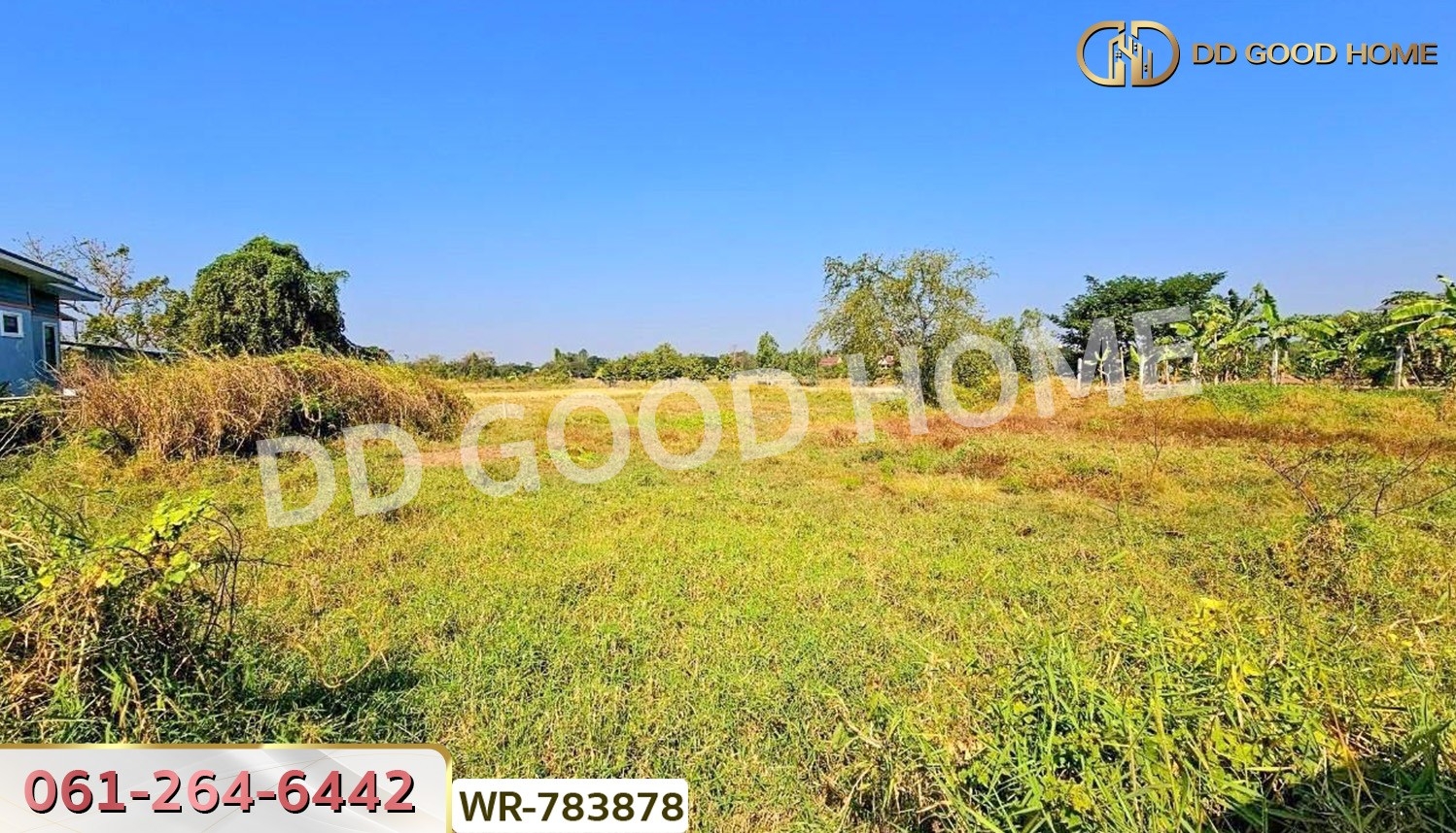 ที่ดินพระยืน 2 ไร่ 242 ตร.ว. ขอนแก่น ใกล้สำนักงานเทศบาลบ้านโต้น