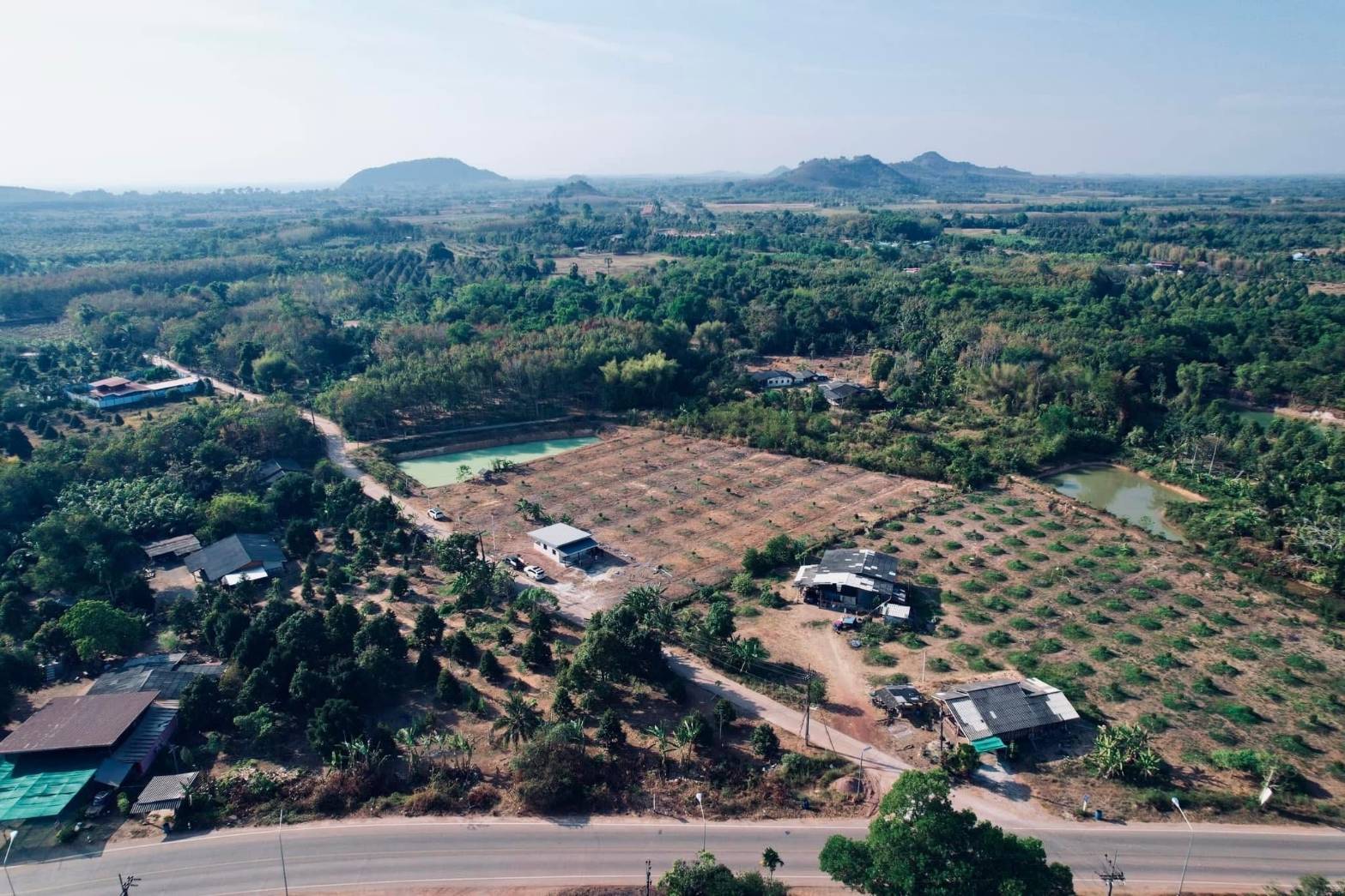 ขายที่ดินทำเลดี สวนทุเรียนหมอนทอง ขนาด 5-3-22.8 ไร่ จ.จันทบุรี