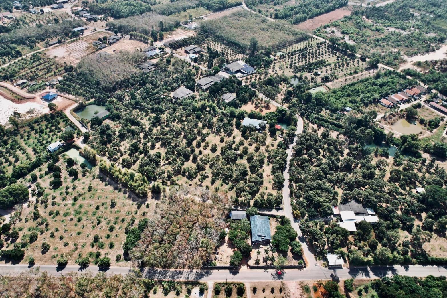 ขายที่ดิน สวนทุเรียนสวย ทำเลดี ใกล้หาดแม่พิมพ์  จ.ระยอง