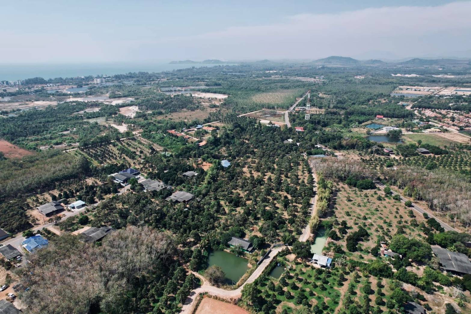 ขายที่ดิน สวนทุเรียนสวย ทำเลดี ใกล้หาดแม่พิมพ์  จ.ระยอง