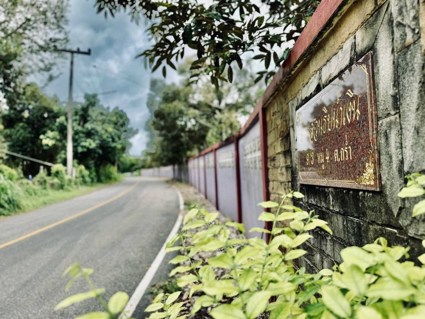 ขายที่ดิน สวนทุเรียนสวย ทำเลดี ใกล้หาดแม่พิมพ์  จ.ระยอง