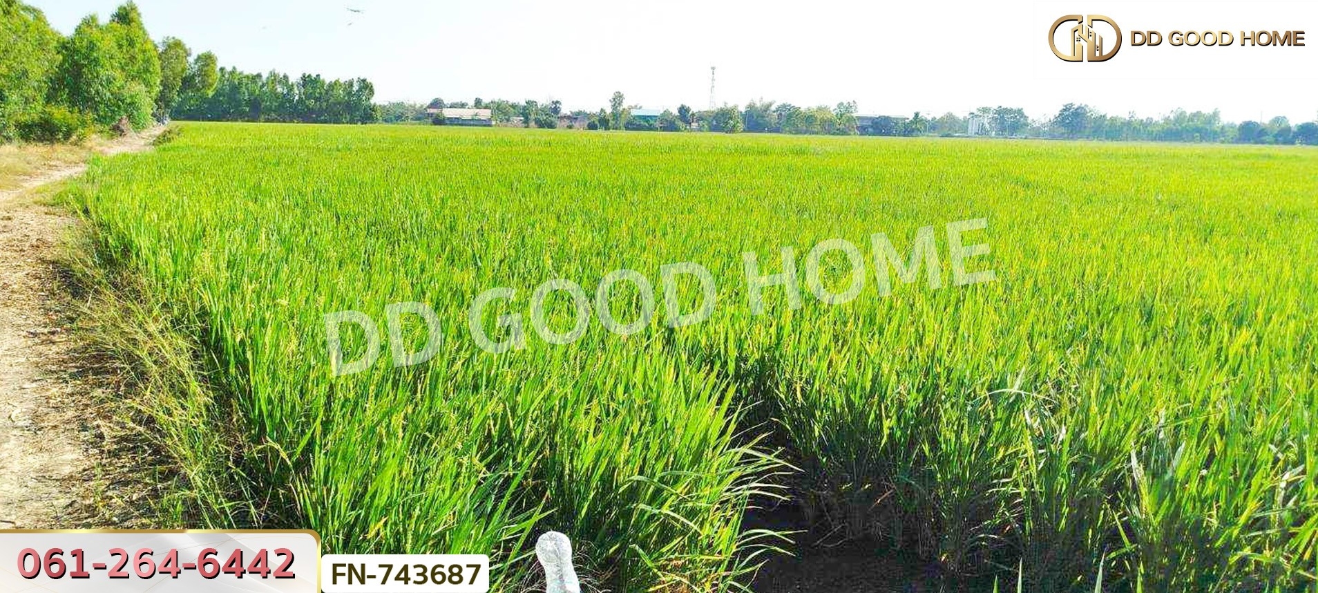 ที่ดินบางไทร 18 ไร่ 40 ตร.ว. พระนครศรีอยุธยา ใกล้วัดสว่างอารมณ์