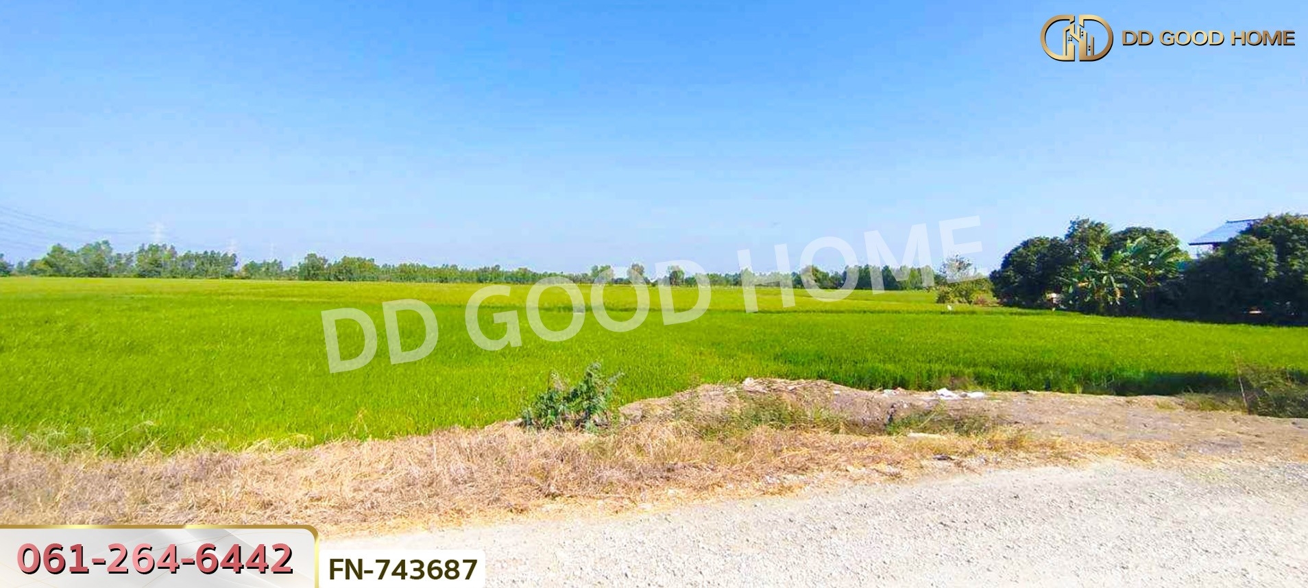 ที่ดินบางไทร 18 ไร่ 40 ตร.ว. พระนครศรีอยุธยา ใกล้วัดสว่างอารมณ์