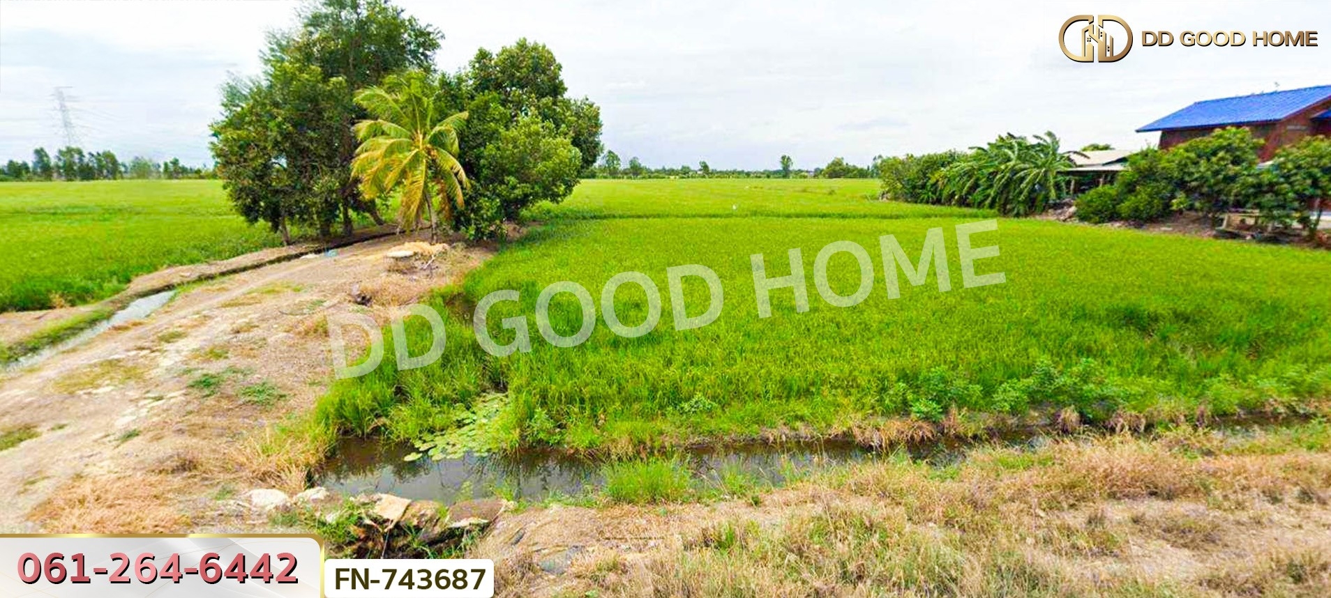 ที่ดินบางไทร 18 ไร่ 40 ตร.ว. พระนครศรีอยุธยา ใกล้วัดสว่างอารมณ์