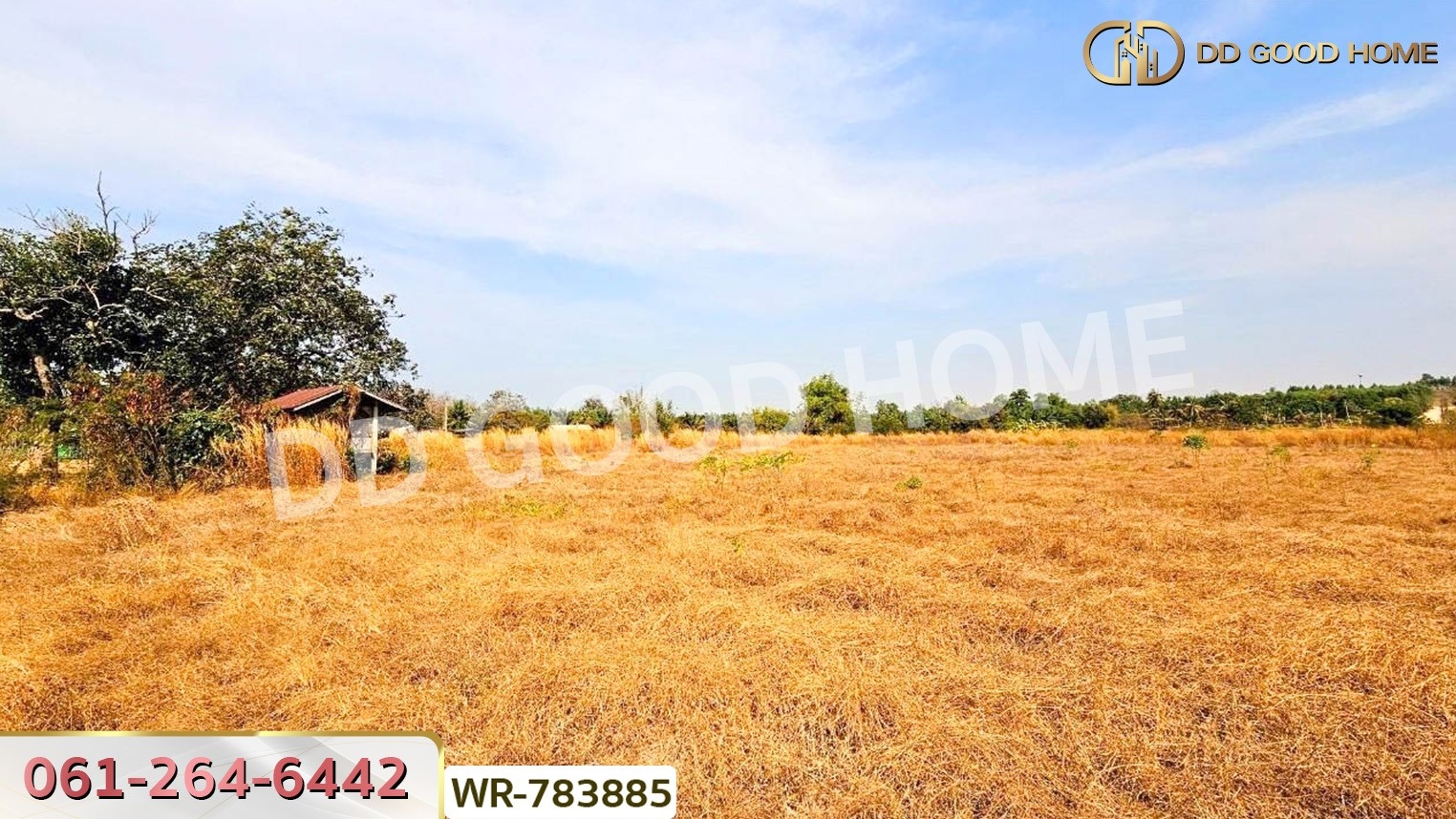 ที่ดินพนัสนิคม 6 ไร่ 209.6 ตร.ว. ชลบุรี ใกล้ อบต.นาวังหิน