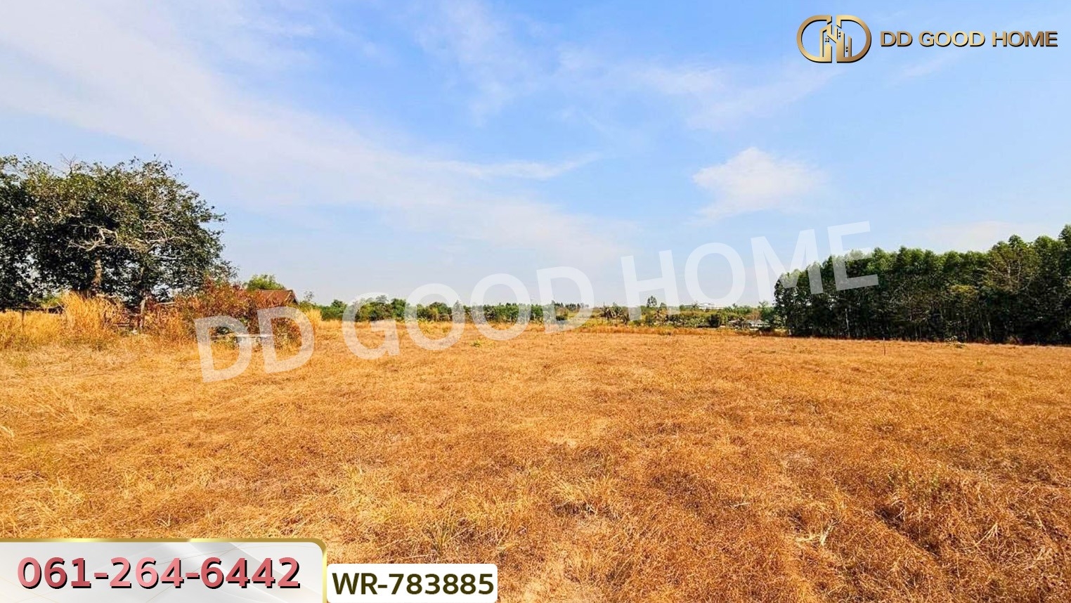 ที่ดินพนัสนิคม 6 ไร่ 209.6 ตร.ว. ชลบุรี ใกล้ อบต.นาวังหิน
