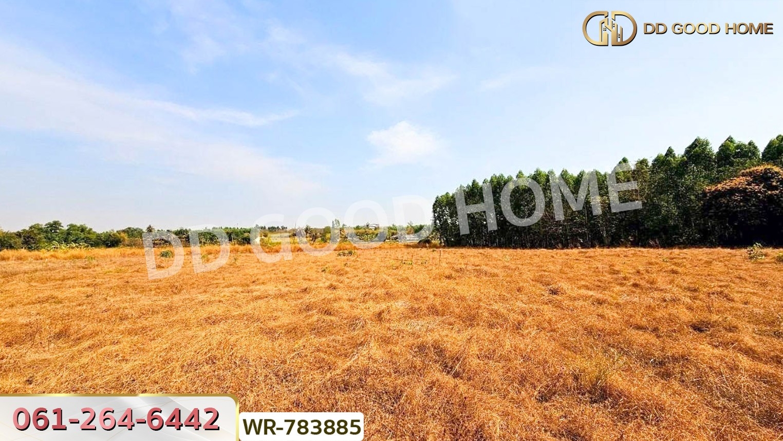 ที่ดินพนัสนิคม 6 ไร่ 209.6 ตร.ว. ชลบุรี ใกล้ อบต.นาวังหิน