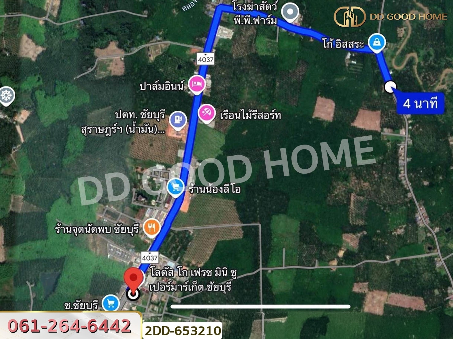 ที่ดินสวนยางชัยบุรี 5 ไร่ 23.4 ตร.ว. สุราษฎร์ธานี ใกล้ตลาดสดเทศบาลชัยบุรี