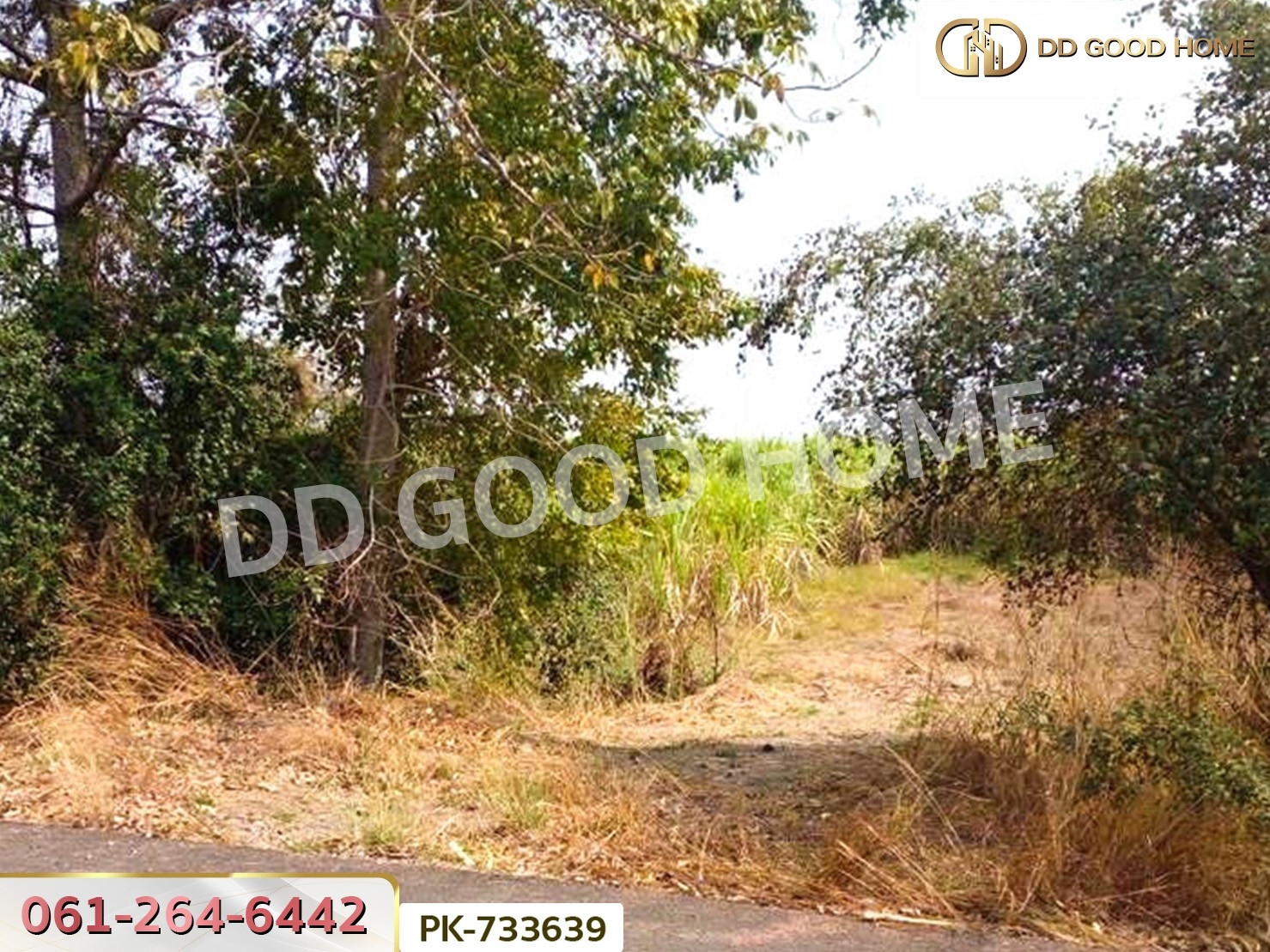 PK-733639 ที่ดินตากฟ้า 7 ไร่ 240 ตร.ว. นครสวรรค์ ใกล้วัดอุดมธัญญา