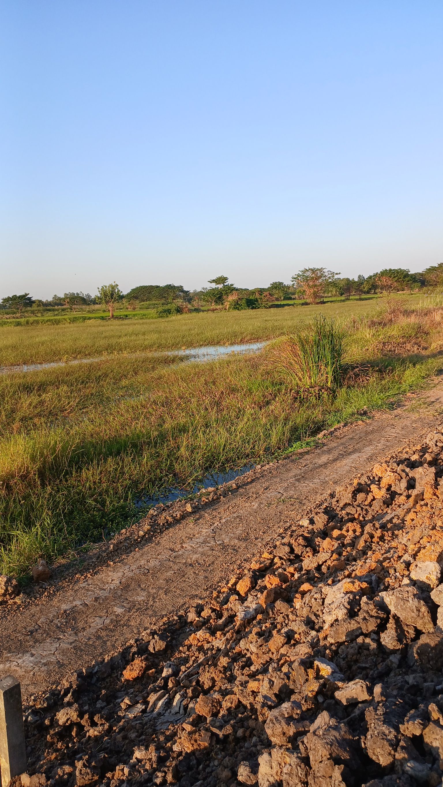 ขายที่ดินเปล่า ทำเลทอง อำเภอมหาราช จังหวัดพระนครศรีอยุธยา