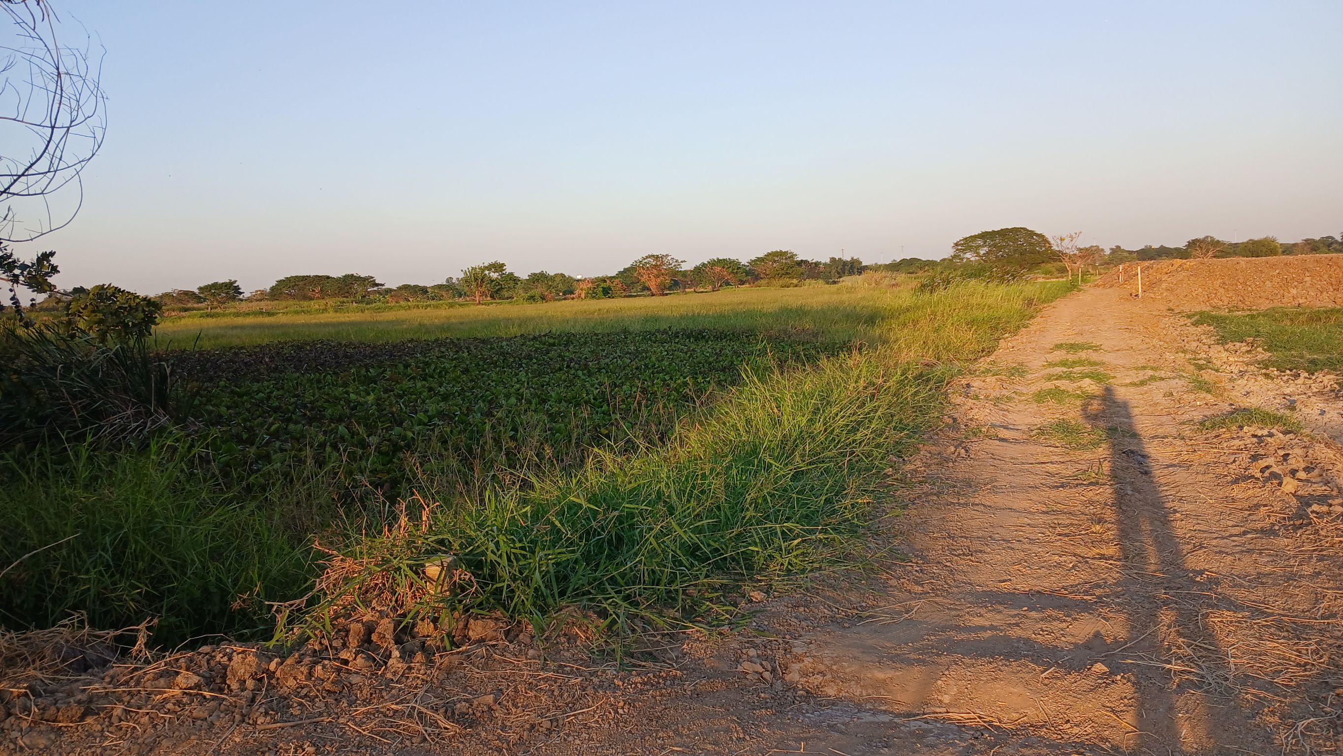 ขายที่ดินเปล่า ทำเลทอง อำเภอมหาราช จังหวัดพระนครศรีอยุธยา
