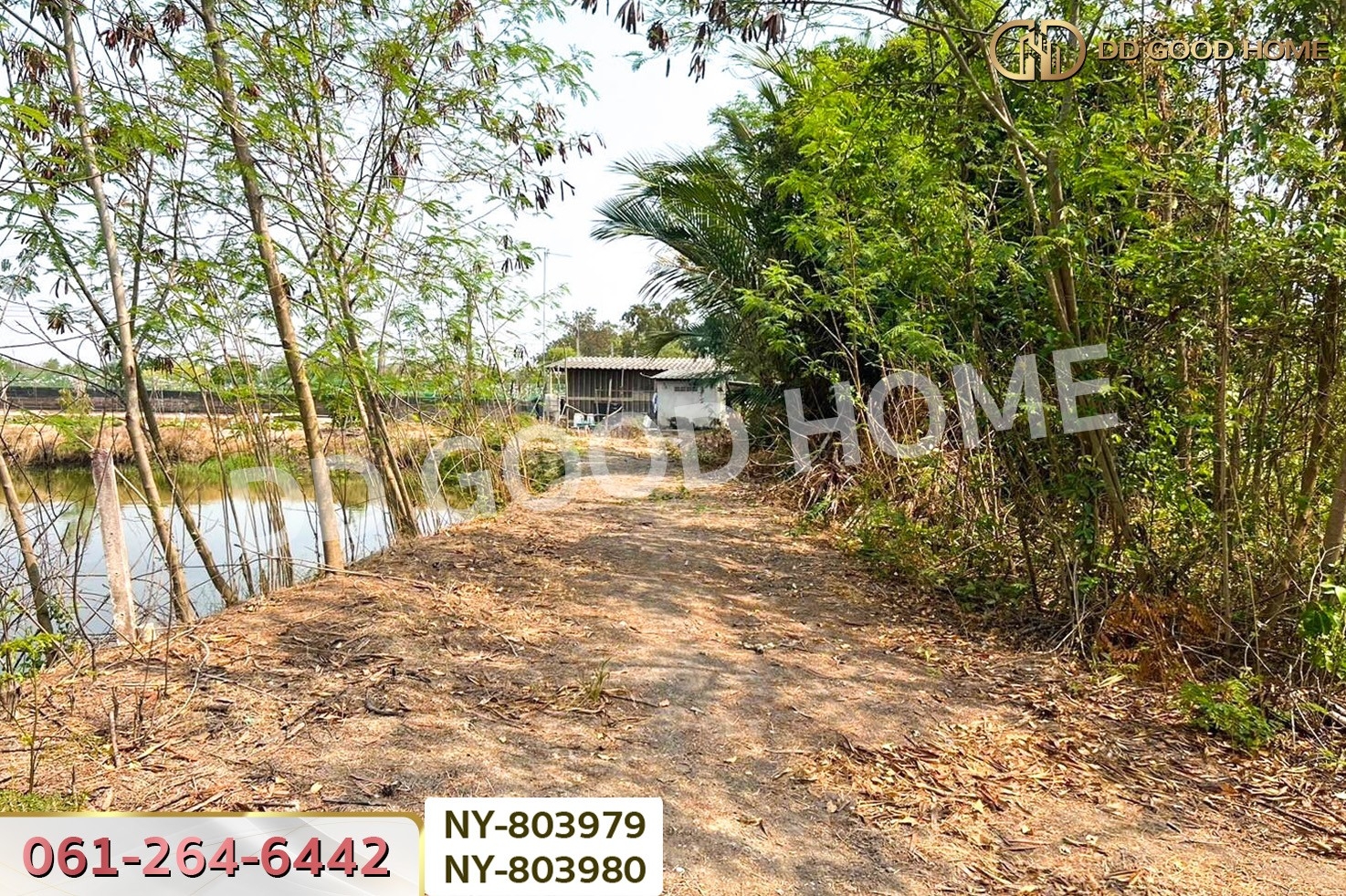 NY-803979 ที่ดินบ้านใหม่ 9 ไร่ 381 ตร.ว. ฉะเชิงเทรา ใกล้วัดป่าอนันตชัย