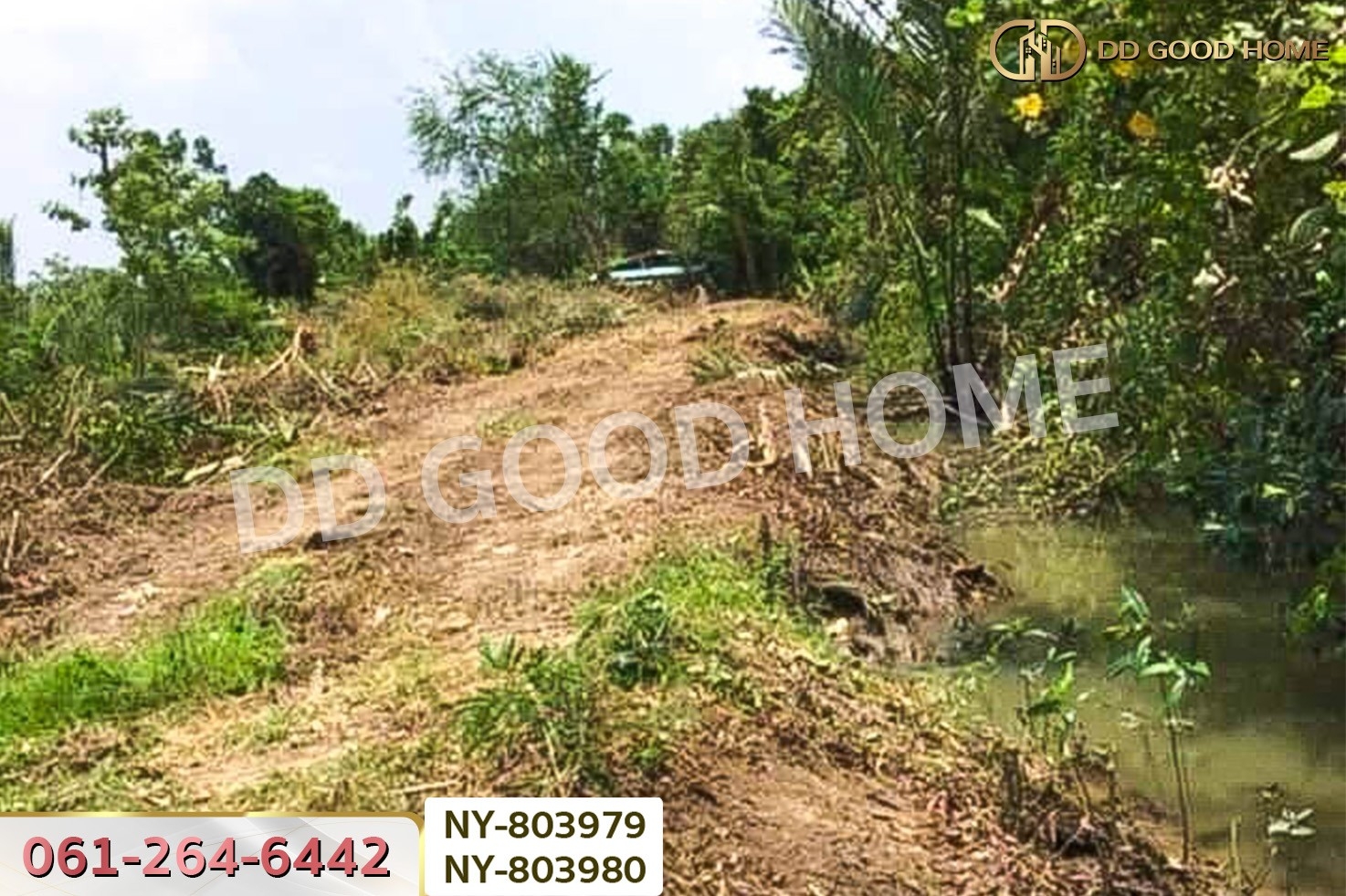 NY-803979 ที่ดินบ้านใหม่ 9 ไร่ 381 ตร.ว. ฉะเชิงเทรา ใกล้วัดป่าอนันตชัย