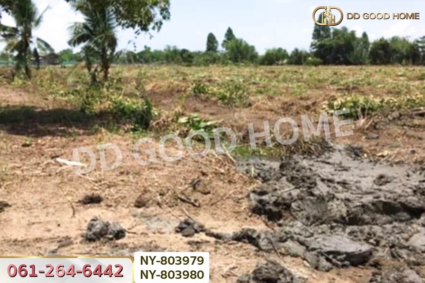 NY-803979 ที่ดินบ้านใหม่ 9 ไร่ 381 ตร.ว. ฉะเชิงเทรา ใกล้วัดป่าอนันตชัย