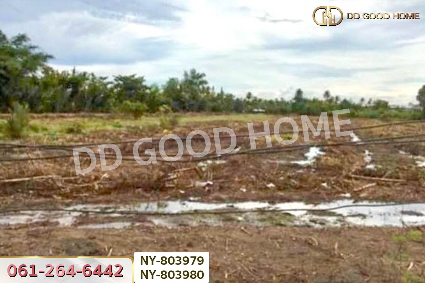 NY-803979 ที่ดินบ้านใหม่ 9 ไร่ 381 ตร.ว. ฉะเชิงเทรา ใกล้วัดป่าอนันตชัย