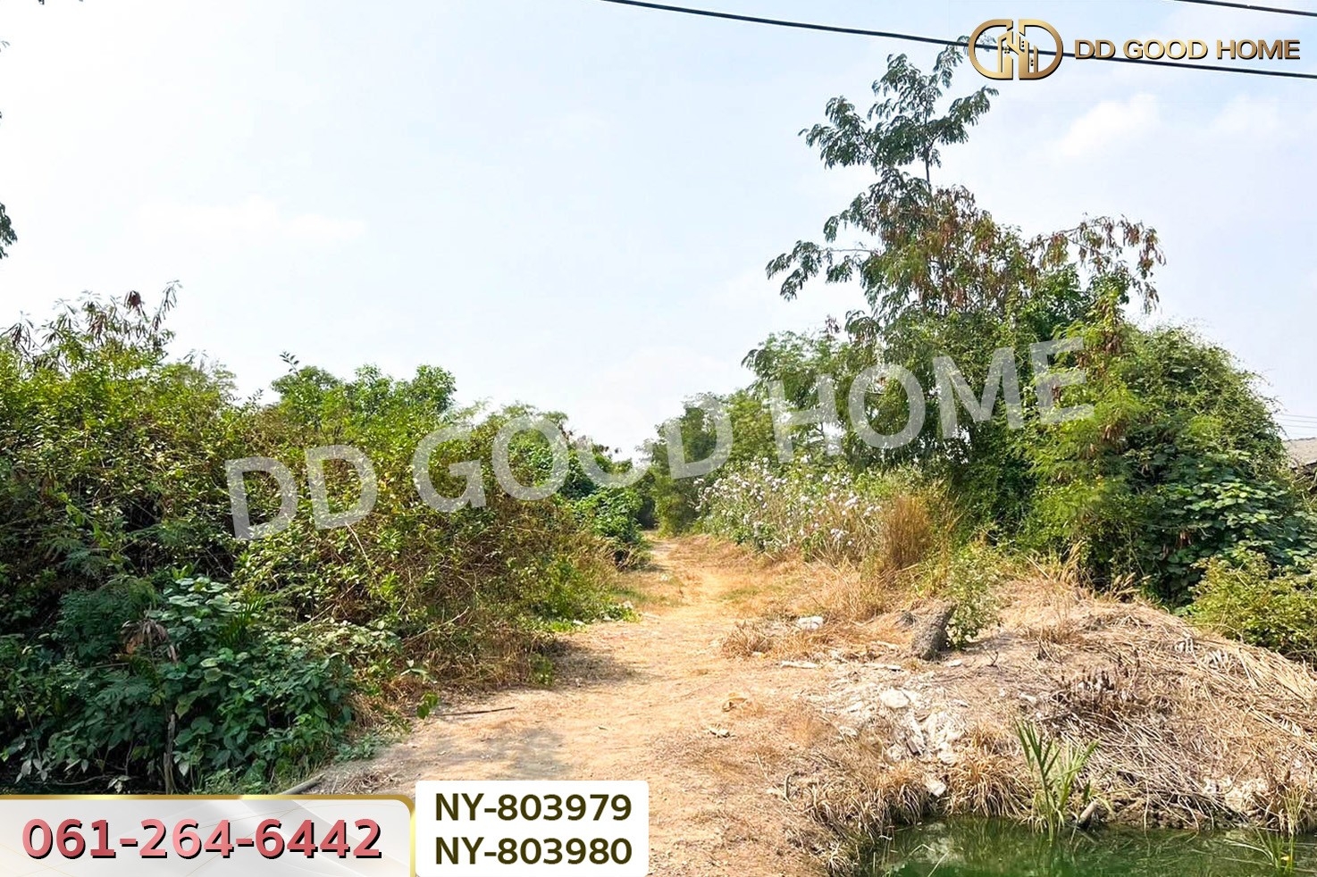 NY-803979 ที่ดินบ้านใหม่ 9 ไร่ 381 ตร.ว. ฉะเชิงเทรา ใกล้วัดป่าอนันตชัย
