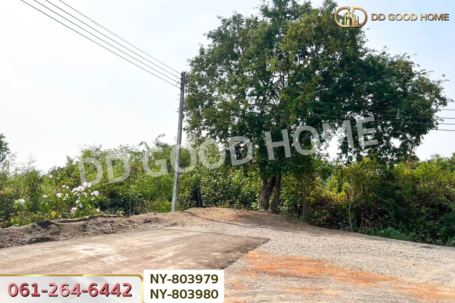 NY-803979 ที่ดินบ้านใหม่ 9 ไร่ 381 ตร.ว. ฉะเชิงเทรา ใกล้วัดป่าอนันตชัย