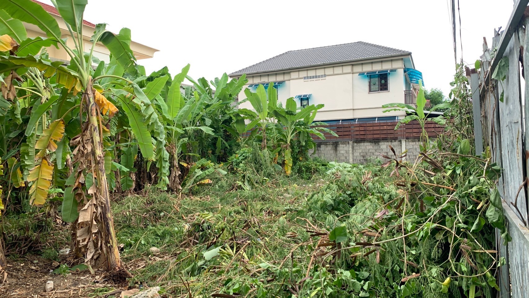 ขายด่วน ขายที่ดินทำเลทอง 199 ตรว. สุขุมวิท101/1 วชิรธรรมสาธิต53 เขตพระโขนง ใกล้bts เจ้าของขายเอง 