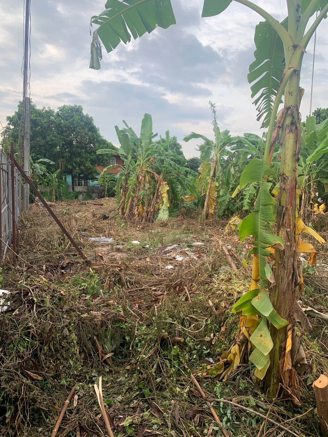 ขายด่วน ขายที่ดินทำเลทอง 199 ตรว. สุขุมวิท101/1 วชิรธรรมสาธิต53 เขตพระโขนง ใกล้bts เจ้าของขายเอง 