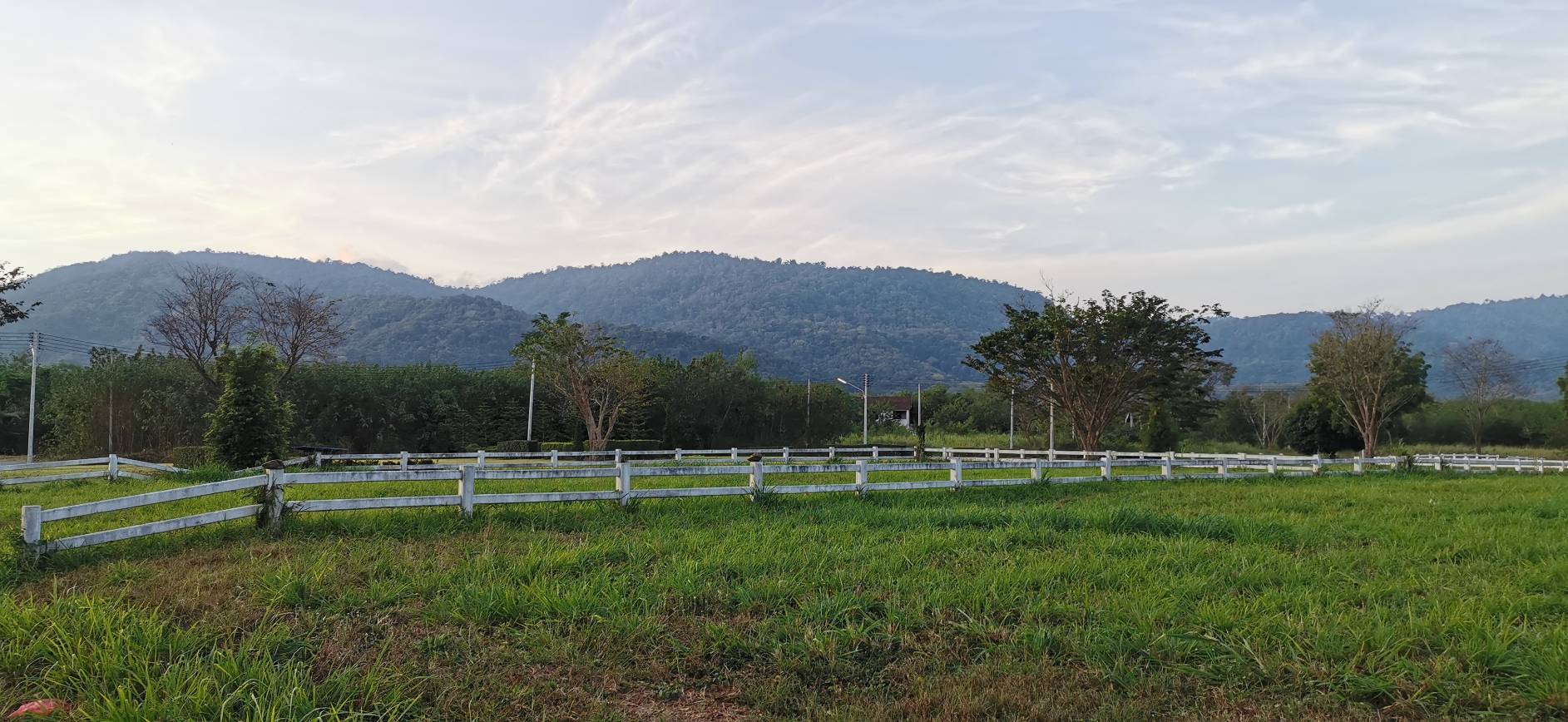 ขายที่ดินเขาใหญ่ หมูสี โครงการเมาน์เท่นวิว (เจ้าของขายเอง)