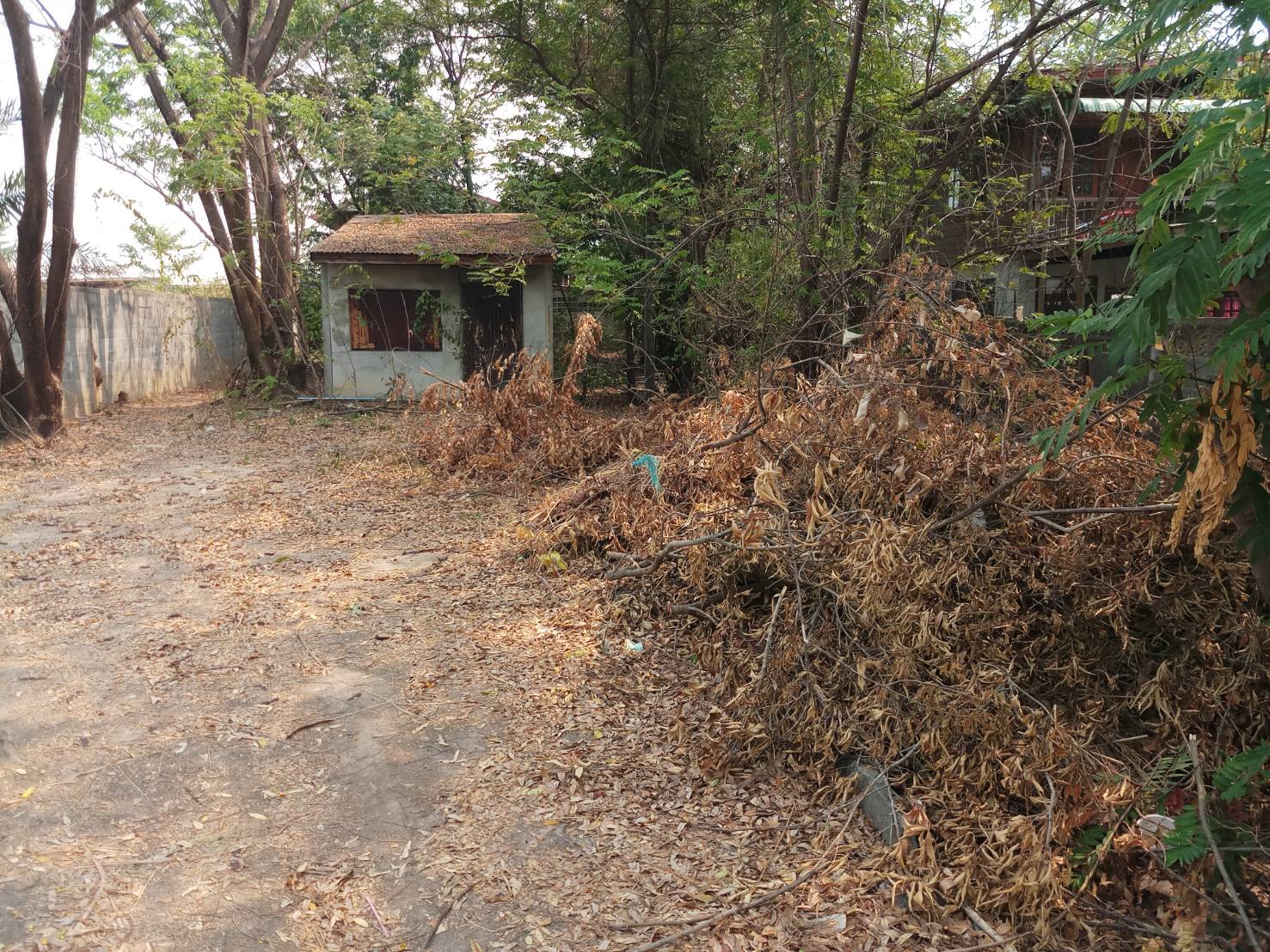 ขายที่ดินเปล่า ทำเลทอง ใกล้ ถนนโชคชัย-เดชอุดม อำเภอเดชอุดม จังหวัดอุบลราชธานี