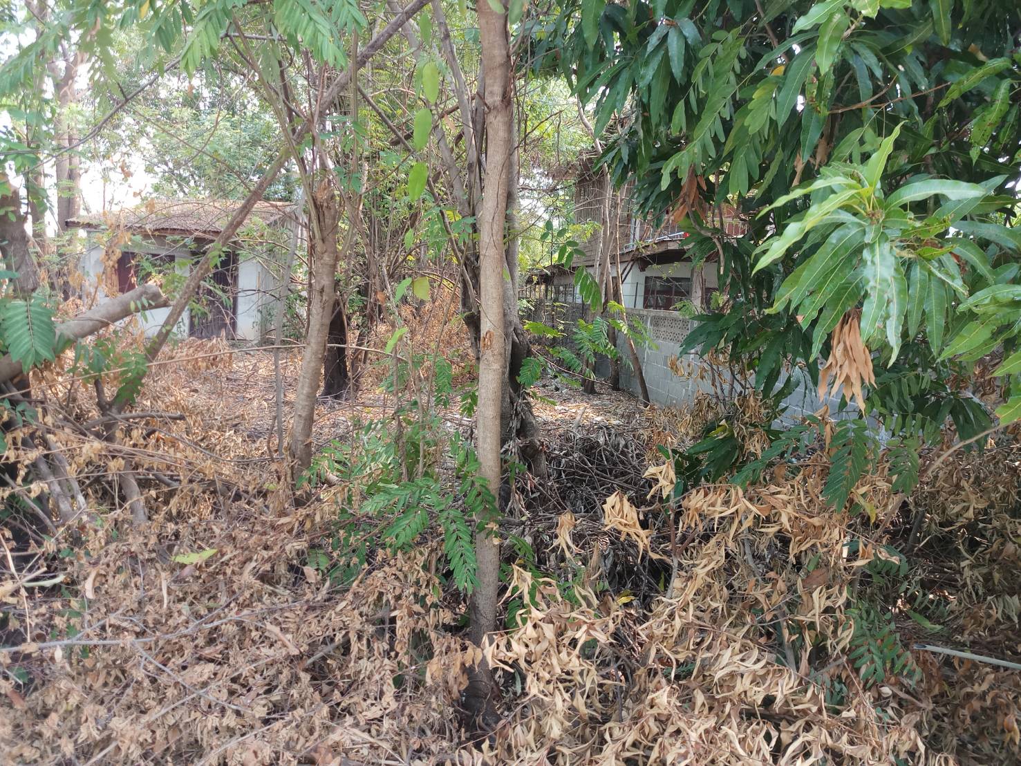 ขายที่ดินเปล่า ทำเลทอง ใกล้ ถนนโชคชัย-เดชอุดม อำเภอเดชอุดม จังหวัดอุบลราชธานี