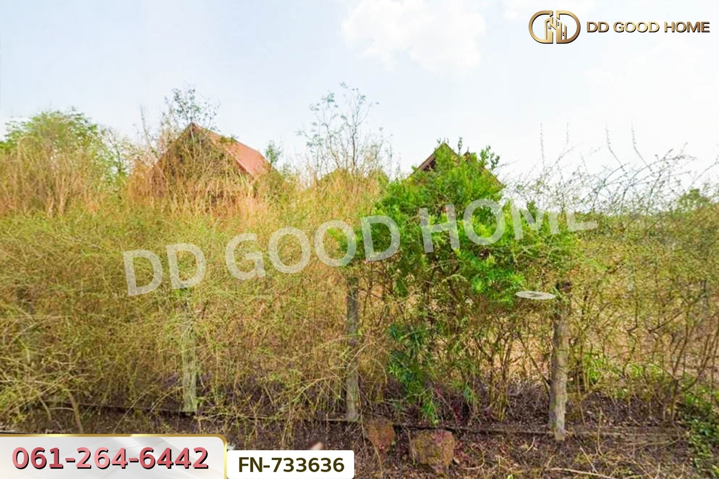 FN-733636 ที่ดินพร้อมบ้านเดี่ยวเมืองเพชรบูรณ์ 383.1 ตร.ว. ใกล้ทางขึ้นเขาค้อ