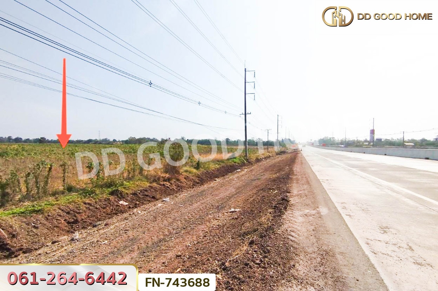 FN-743688 ที่ดินปักธงชัย 58 ไร่ 124 ตร.ว. ติดถนนปักธงชัย-เดชอุดม นครราชสีมา ใกล้ทางแยกต่างระดับปักธงชัย