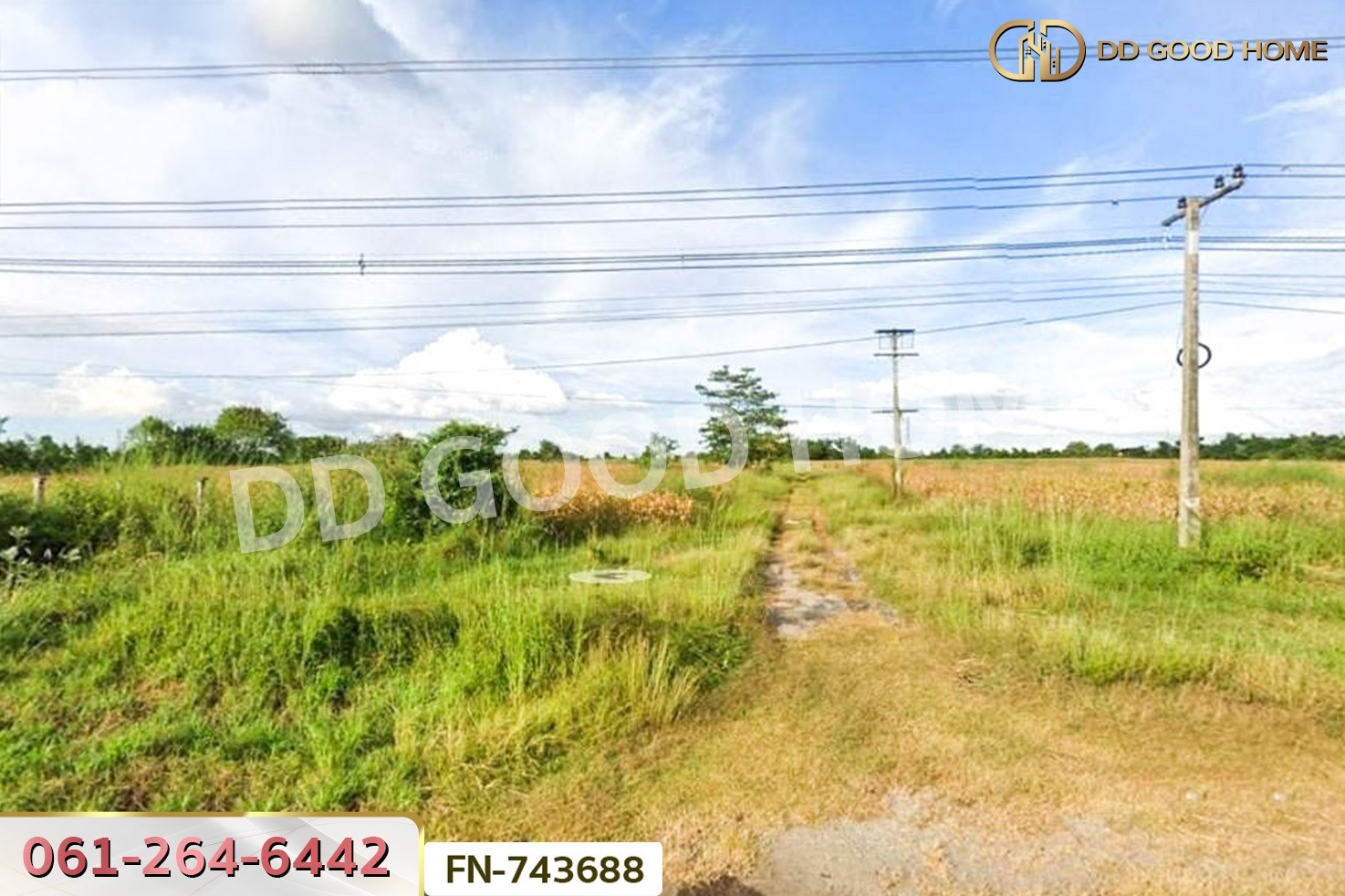 FN-743688 ที่ดินปักธงชัย 58 ไร่ 124 ตร.ว. ติดถนนปักธงชัย-เดชอุดม นครราชสีมา ใกล้ทางแยกต่างระดับปักธงชัย