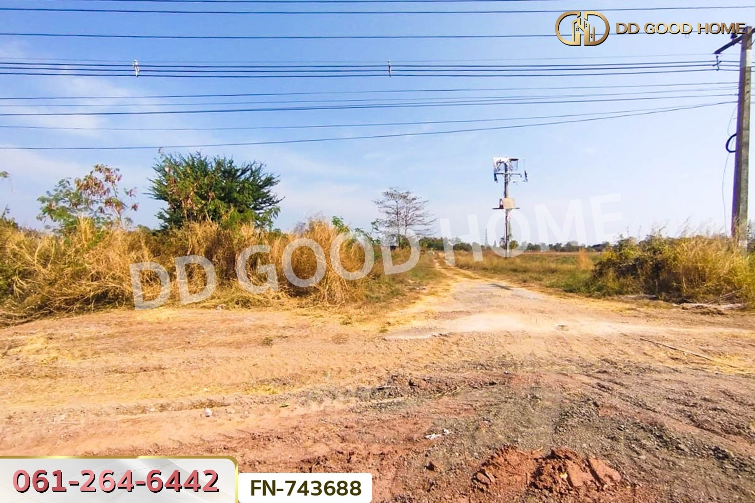 FN-743688 ที่ดินปักธงชัย 58 ไร่ 124 ตร.ว. ติดถนนปักธงชัย-เดชอุดม นครราชสีมา ใกล้ทางแยกต่างระดับปักธงชัย