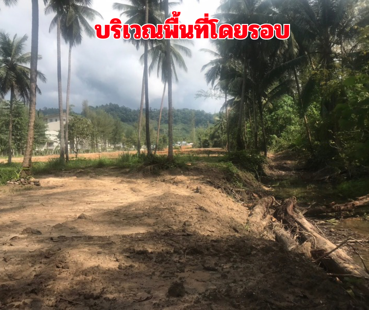 ขายที่ดินติดทะเลเขาหลัก