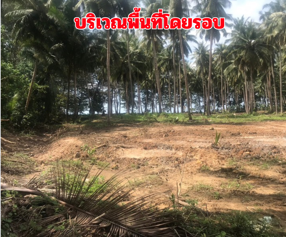 ขายที่ดินติดทะเลเขาหลัก