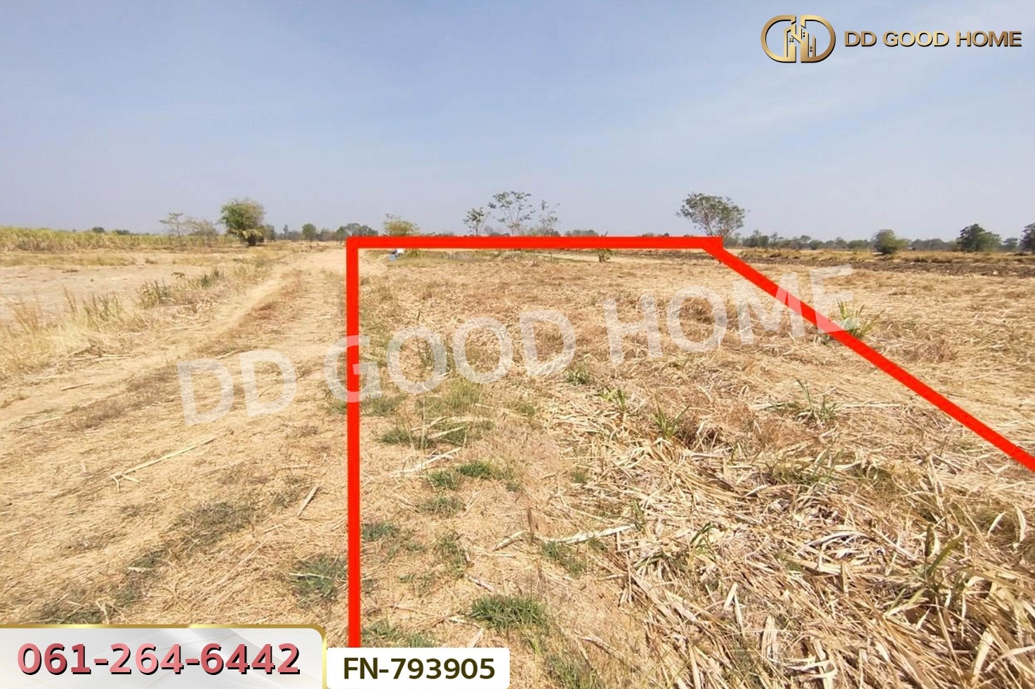 FN-793905 ที่ดินชัยบาดาล 8 ไร่ 390 ตร.ว. ลพบุรี ใกล้โครงการลมนารายณ์ โซนบัวชุม