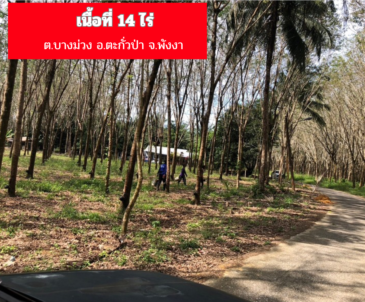 ขายที่ติดถนนเส้นหลักภูเก็ต ตะกั่วป่า