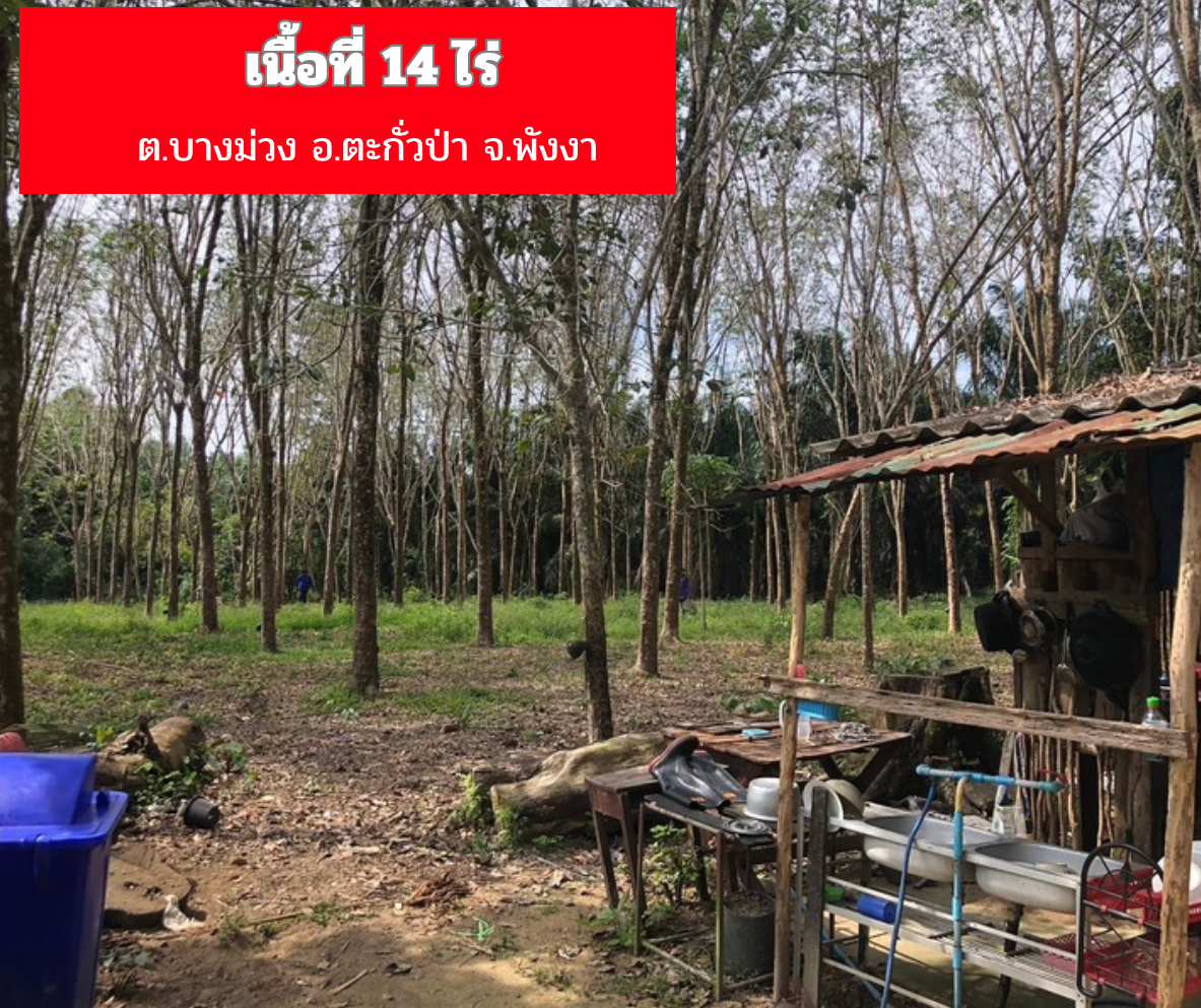 ขายที่ติดถนนเส้นหลักภูเก็ต ตะกั่วป่า