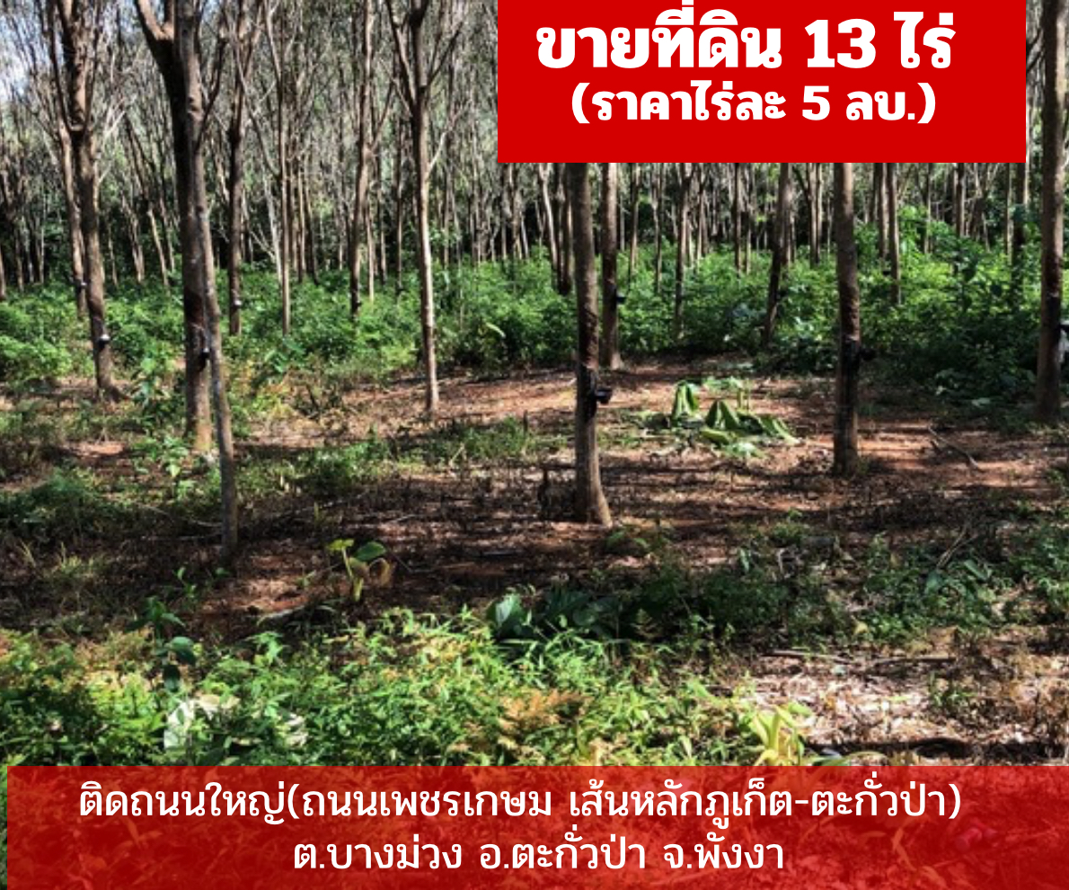 ขายที่ดินติดถนนเส้นหลักภูเก็ต ตะกั่วป่า