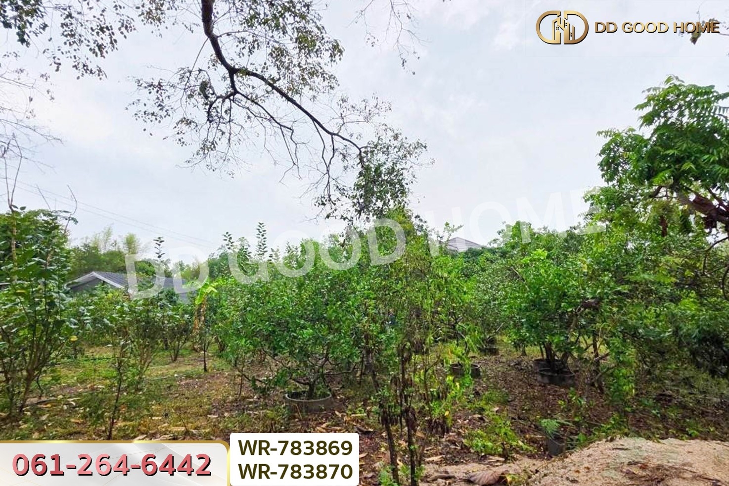 WR-783869/WR-783870 ที่ดินพร้อมบ้านเดี่ยวบ้านฉาง 1 ไร่ 190.7 ตร.ว. ระยอง ใกล้สนามบินอู่ตะเภา