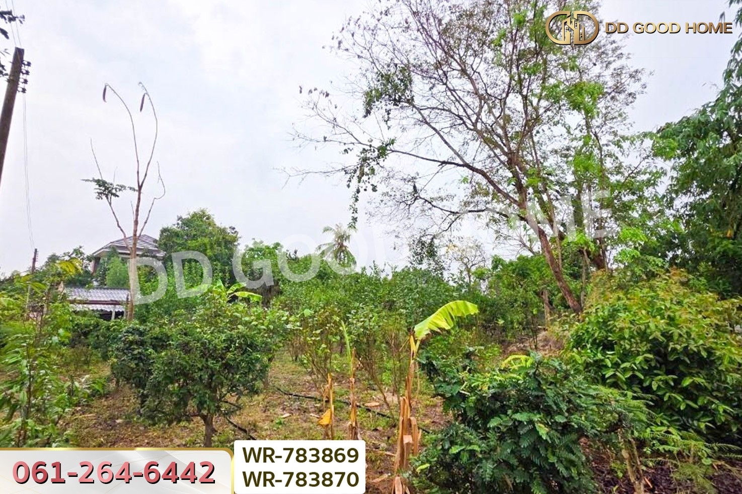 WR-783869/WR-783870 ที่ดินพร้อมบ้านเดี่ยวบ้านฉาง 1 ไร่ 190.7 ตร.ว. ระยอง ใกล้สนามบินอู่ตะเภา