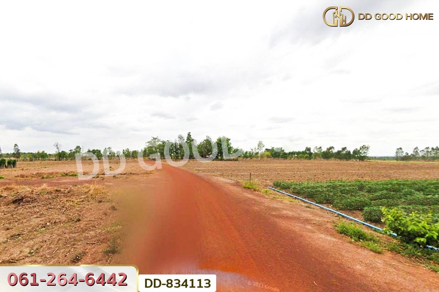 DD-834113 ที่ดินวานรนิวาส 15 ไร่ 388 ตร.ว. สกลนคร ใกล้โรงเรียนบ้านสุวรรณคีรี