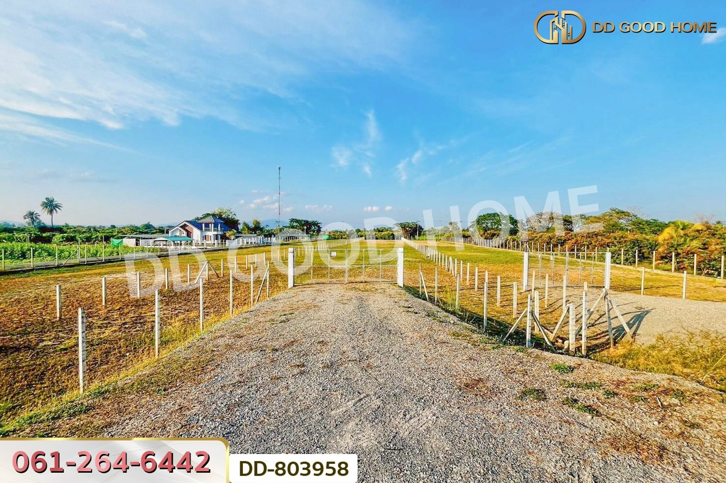 DD-803958 ที่ดินต้นธง 5 ไร่ 34 ตร.ว. ลำพูน ใกล้ตลาดสบทา