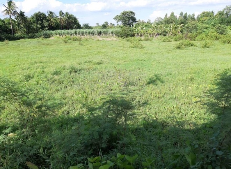 ขายที่ดินเปล่าทำเลทอง ต.สระพังลาน อ.อู่ทอง  จ.สุพรรณบุรี  (ราคา  9,600,000- 12,000,000 บาท)