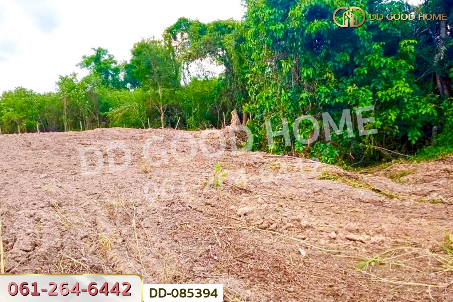 ที่ดินบ้านนา 4 ไร่ 257 ตร.ว. นครนายก ใกล้องค์การบริหารส่วนตำบลบ้านนา DD-085394