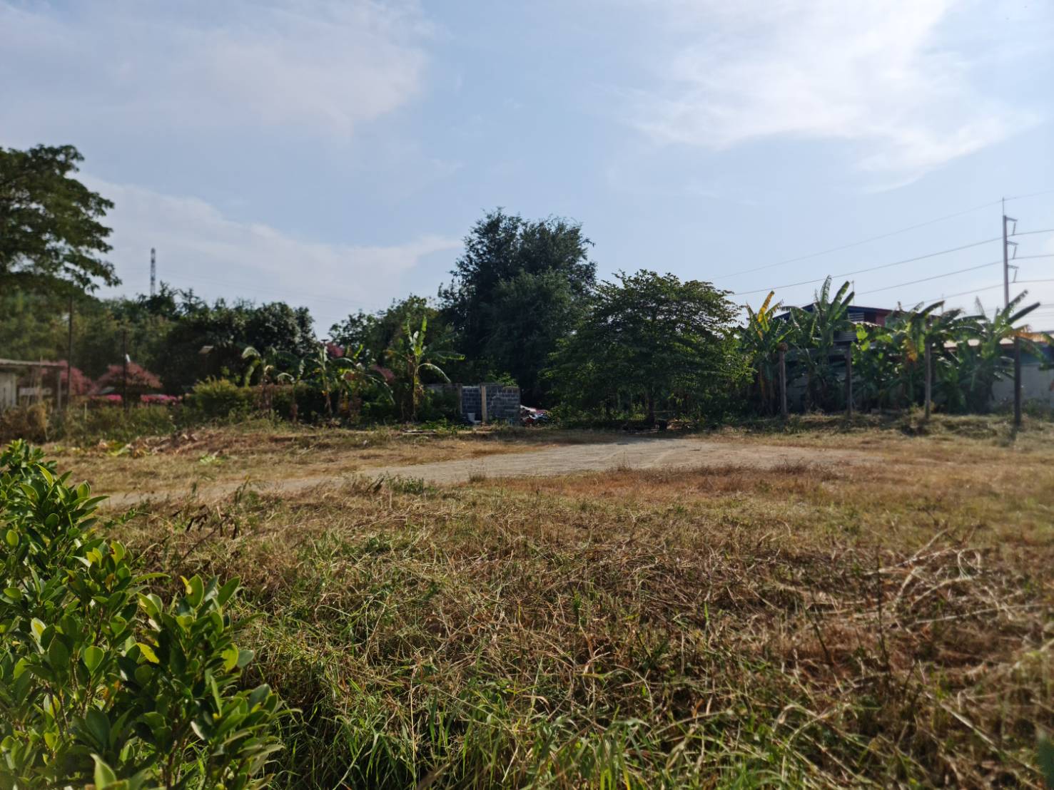 ขายที่ดินเปล่า ทำเลทอง ใกล้แม็คโครปากช่อง จังหวัดนครราชสีมา