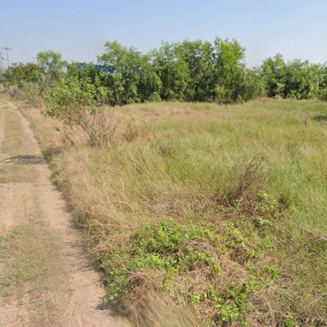 ขายที่ดินเปล่าถมเเล้ว ทำเลดี อยู่ใกล้แหล่งชุมชน อำเภอบางน้ำเปรี้ยว จังหวัดฉะเชิงเทรา