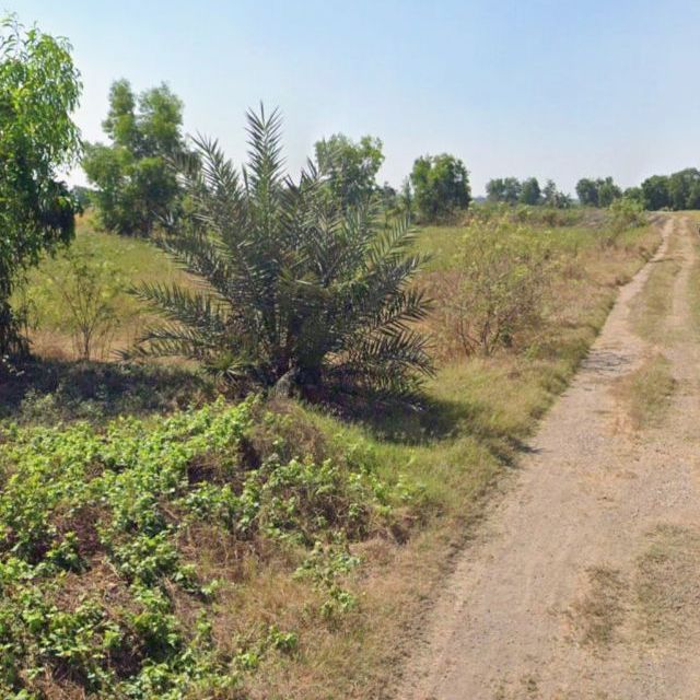 ขายที่ดินเปล่าถมเเล้ว ทำเลดี อยู่ใกล้แหล่งชุมชน อำเภอบางน้ำเปรี้ยว จังหวัดฉะเชิงเทรา