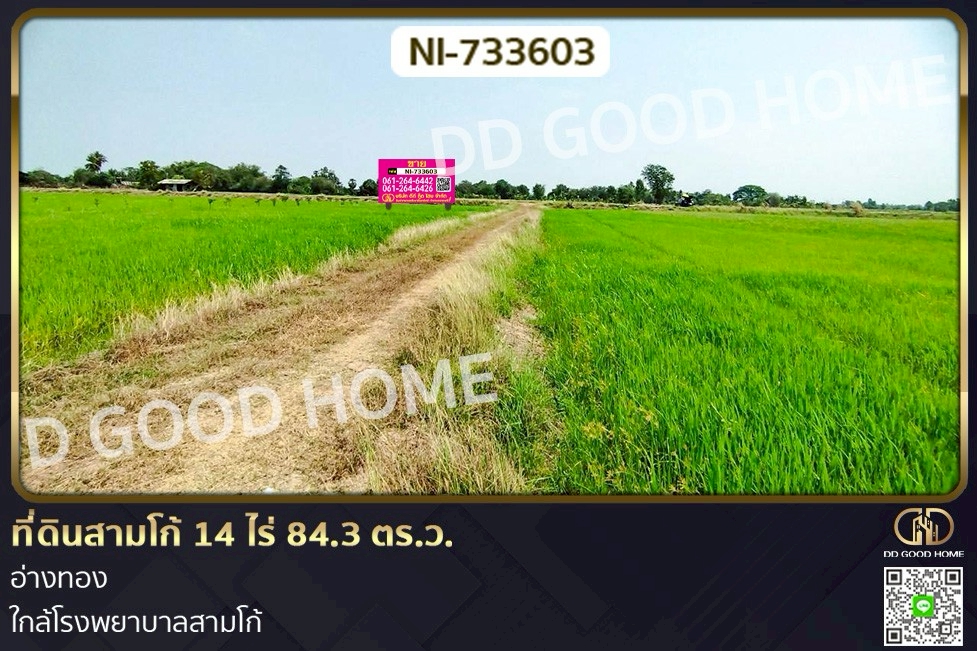 NI-733603 ที่ดินสามโก้ 14 ไร่ 84.3 ตร.ว. อ่างทอง ใกล้โรงพยาบาลสามโก้