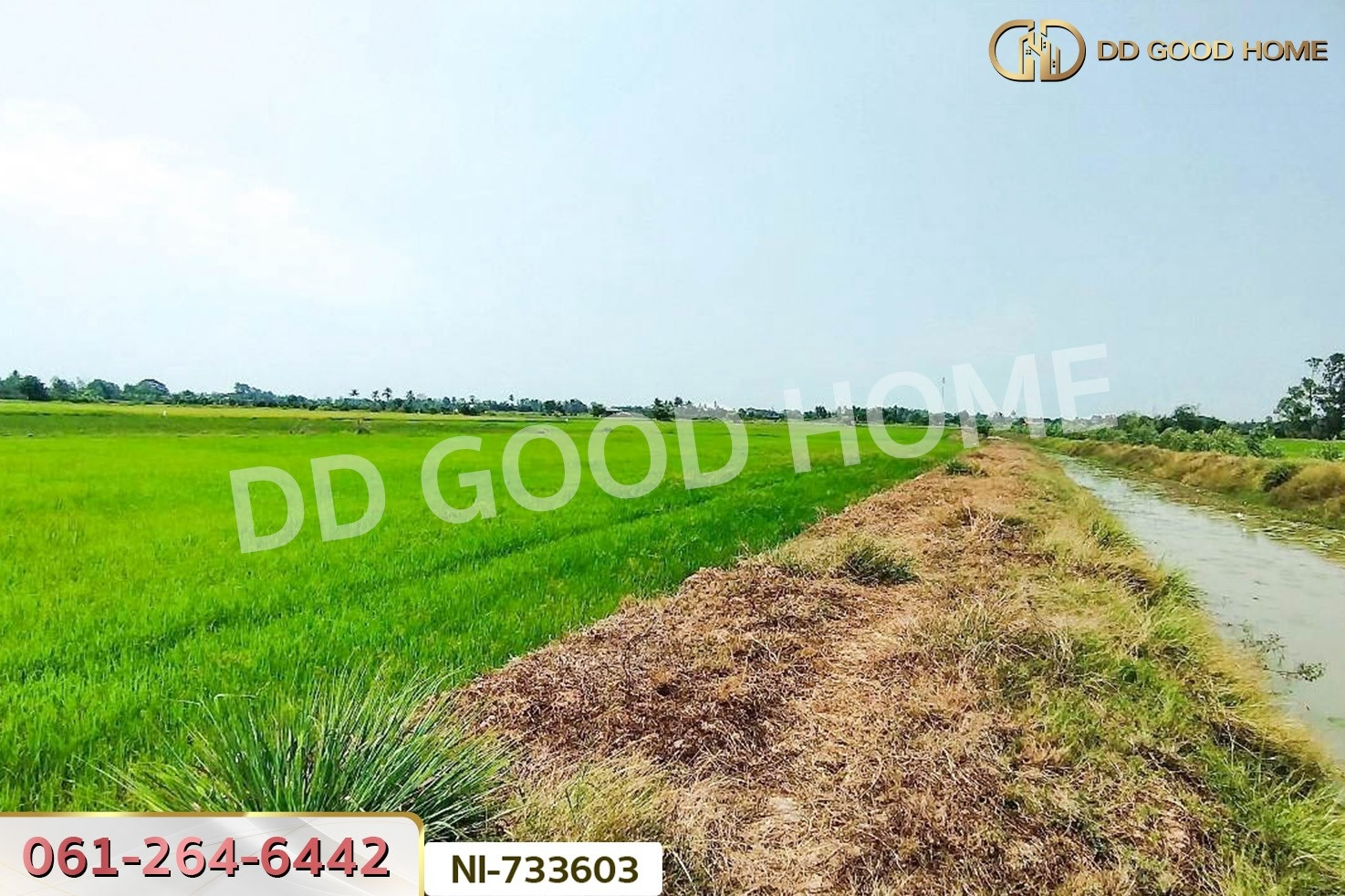 NI-733603 ที่ดินสามโก้ 14 ไร่ 84.3 ตร.ว. อ่างทอง ใกล้โรงพยาบาลสามโก้